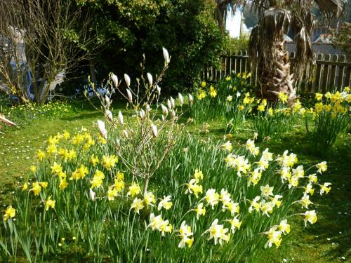 Ventnor Casa | St Maur