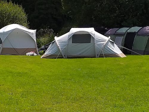 Glynn Otro | St Mullins Natural Camping