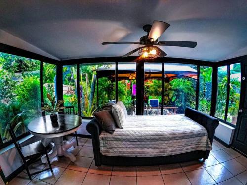 St. Petersburg - Clearwater Casa | St Pete beach house backyard Jungle Oasis!