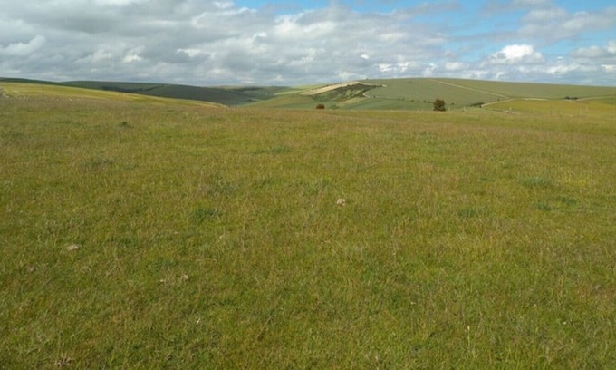 Rottingdean Cabaña | Stag Cottage Rottingdean South Downs Great Walks