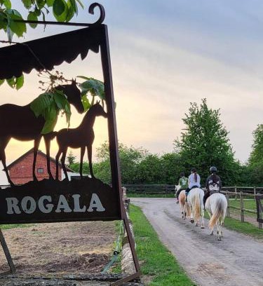 Ostrowin Casa | Stajnia Rogala