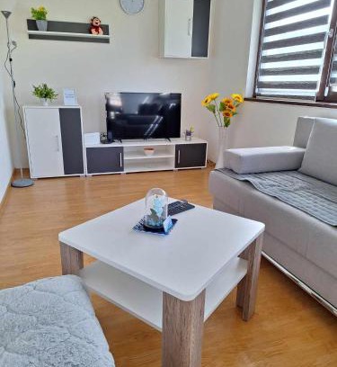 Canton 10 Apartamento | Stan na dan Grahovo
