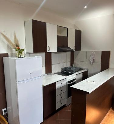 Sabac Apartamento | Stan na dan Uzanovic