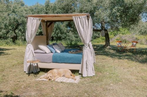 Kaloniktis Otro | Star Sleep Kaloniktis Rethymno Olive Farm Escape