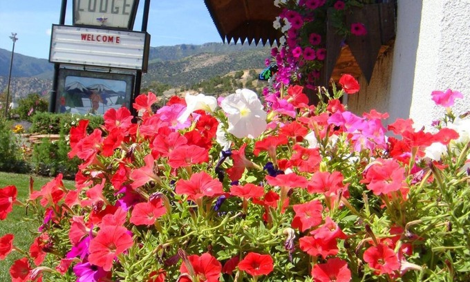 Glenwood Springs Hotel | Starlight Lodge