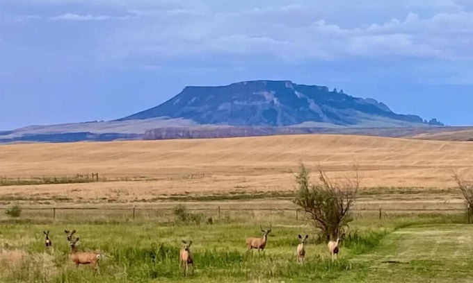 Chouteau County Casa | Stay Rural