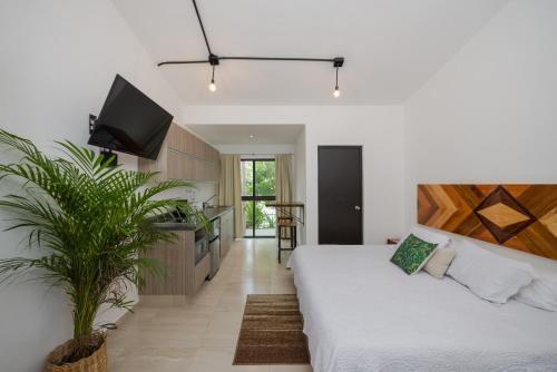 Centro de Cancún Apartamento | Stay Tropical