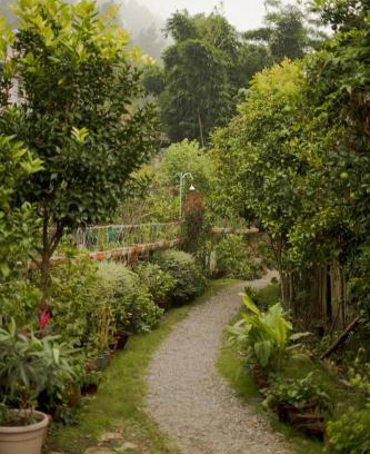 Naukuchiyatal Complejo | Stay with Nature at Cottages at Village Naukuchiatal Nainital
