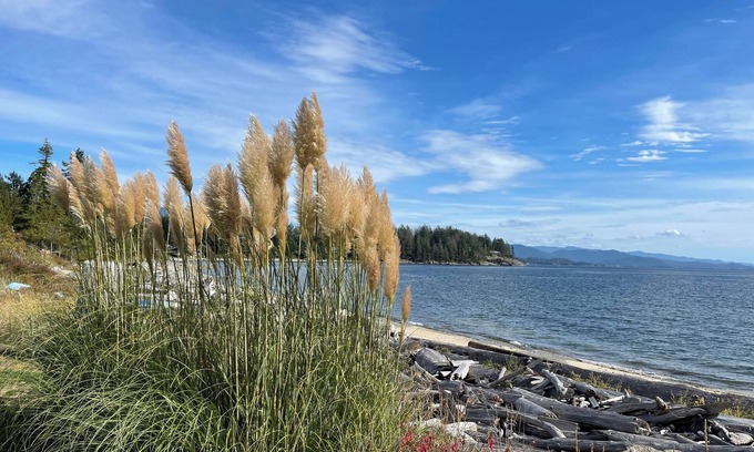 Brew Bay Cabaña | Staycation Cottage with your private beach