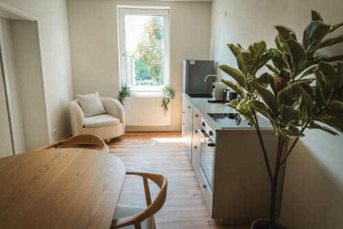 Celle Apartamento | Staylight Apartment by the French Garden - 3 Bedrooms - Quiet & Central