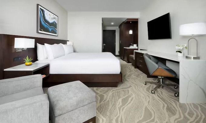 Downtown Tucson Hotel | Std 1 King, DoubleTree Tucson, Spacious Room & Restaurant, Close to University