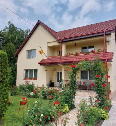 Tirgu Neamt Casa | Steaua Nordului