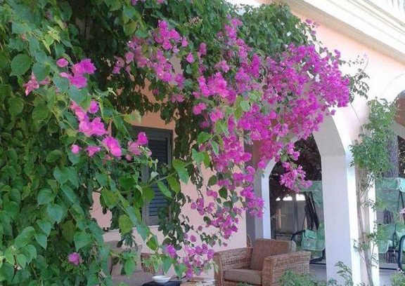 Lendinuso Apartamento | Stella marina residence