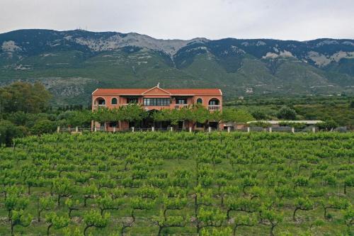 Mousata Apartamento | Stella Vineyard
