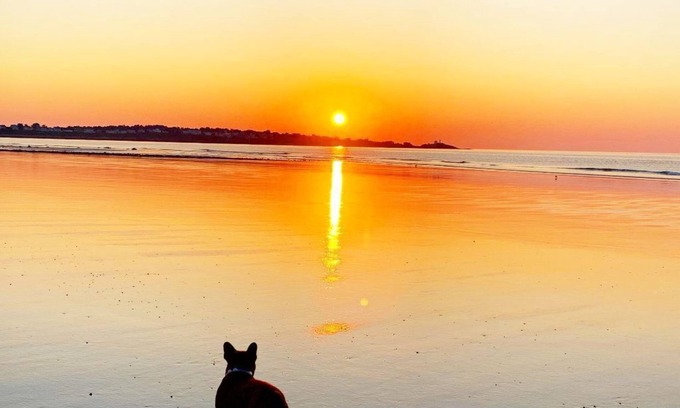 York Beach Casa | Steps from Longsands! Dog-Friendly, Family Beach House With Oceanfront Views!
