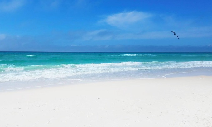 Bel Air Casa | 🏖️Steps to the Beach | Free Parking | Community Pool | Seaview Village #8🏖️