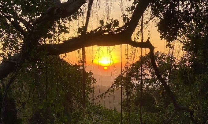 Drapers Apartamento | Jungle, waterfall, sea view, 5 minutes from beach, lap pool & gym. Bird watching