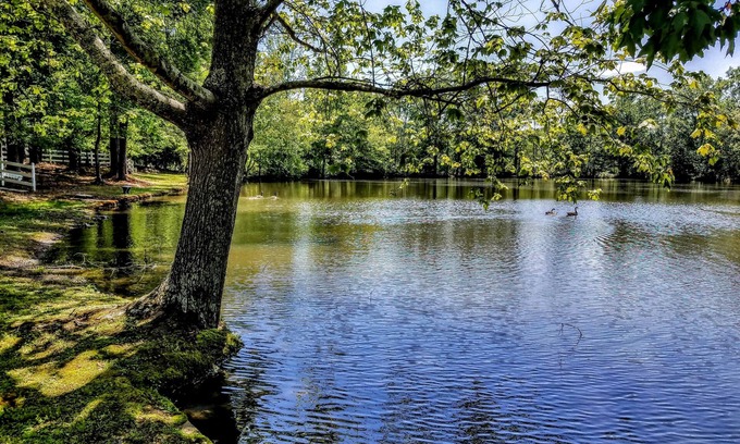 Stockbridge Cama Y Desayuno | Stockbridge Lakes Bed & Breakfast