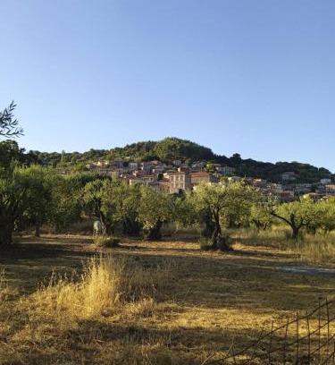 Vatoussa Casa | Stone cottage