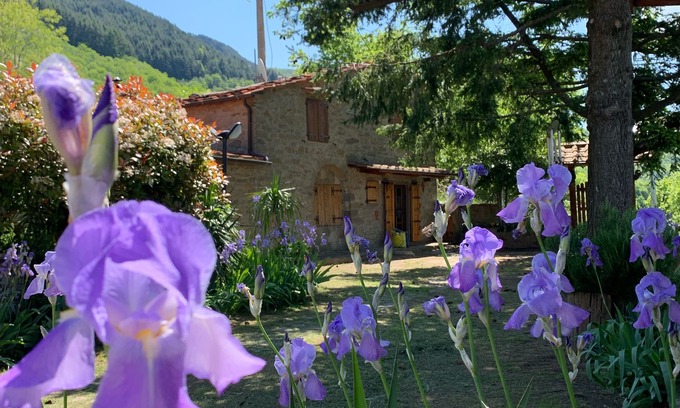 Loro Ciuffenna Casa | CASA DE PIEDRA EN EL CORAZÓN DE TOSCANA CON GRAN JARDÍN Y PISCINA
