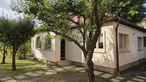 Targu Secuiesc Apartamento | Stone House
