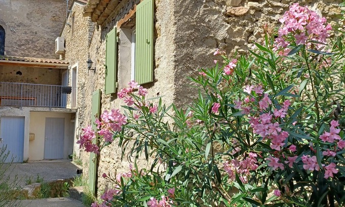 Mollans-sur-Ouveze Casa | Stone village house