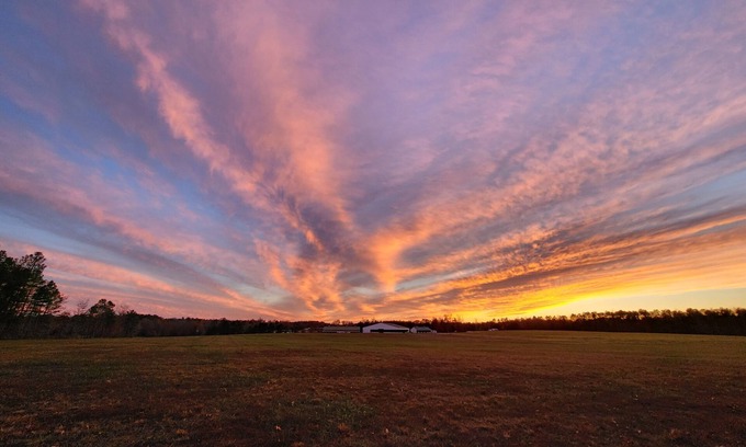 Chesterfield Apartamento | Stonewall Manor Cozy 1-bedroom with WiFi and AC on five star horse farm.