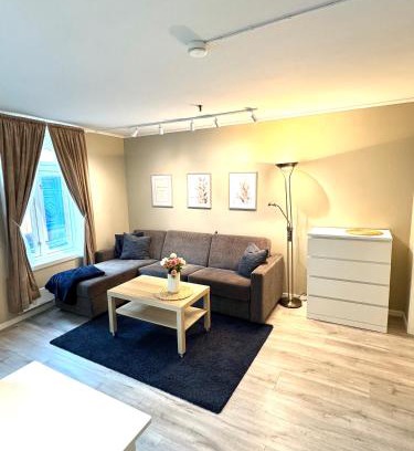 Trondheim City Centre Apartamento | Stor attraktiv studioleilighet i sentrum