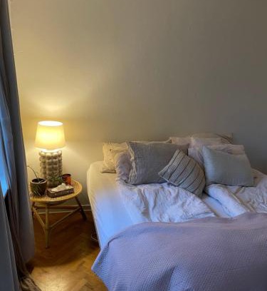 Odense Casa | Stort værelse udlejes i herskabslejlighed midt i Odense by