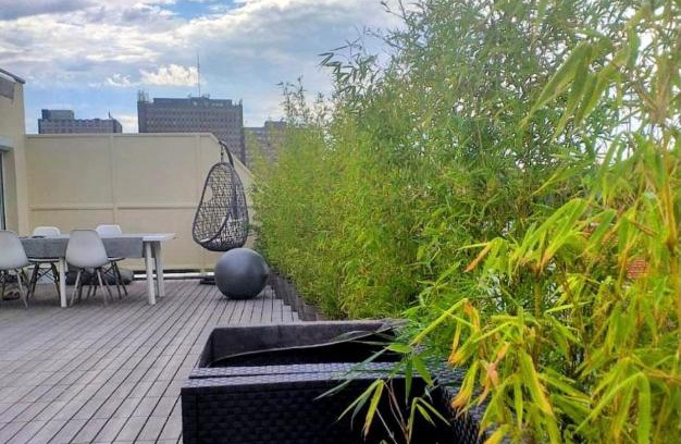 Poincare Apartamento | Strasbourg centre proche gare