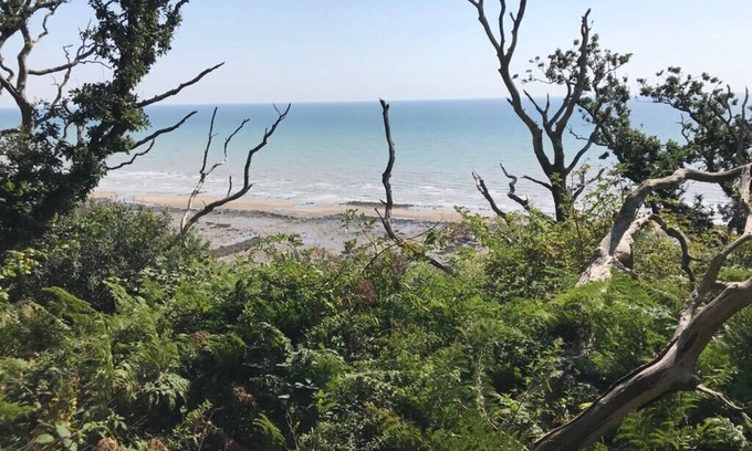 Hastings Cama Y Desayuno | Stream House Luxury B&B