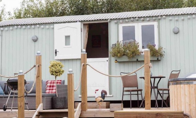New Forest District Cabina | Stud Farm
