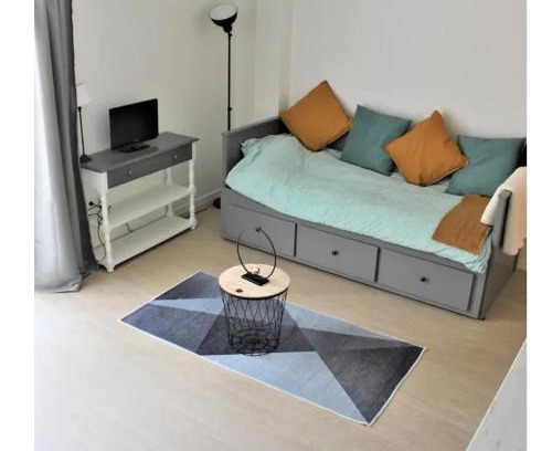 Anatole France Danton Apartamento | Studio 18