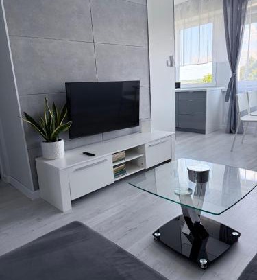 Kalisz Apartamento | Studio 19 Podmiejska