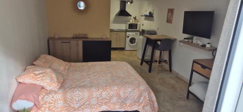 Villeneuve-le-Roi Apartamento | studio 30 m2