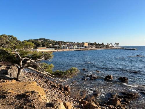 Saint-Mandrier-sur-Mer Apartamento | Studio 4 personnes à Saint-Mandrier-sur-Mer