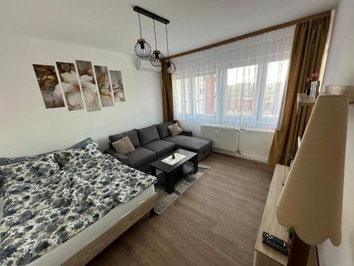 Virovitica Apartamento | Studio apartman Barbara