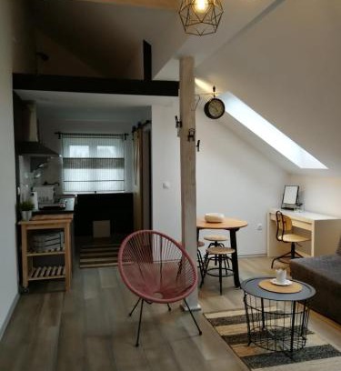 Dreznik Grad Apartamento | Studio apartman HANA