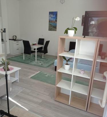 Mali Radic Apartamento | Studio apartman Sokak