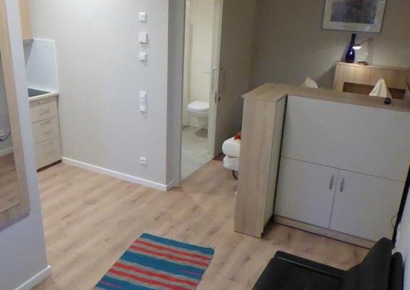 Tuebingen Apartamento | Studio Apartment 2