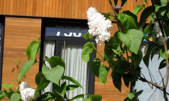 Haarlemmerbuurt Apartamento | Studio-apartment in city-center
