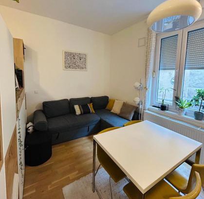 Donji Grad Apartamento | Studio Apartment Ivy