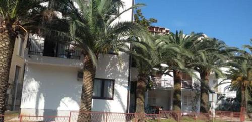Babin do Apartamento | Studio Apartments 6 Palmi