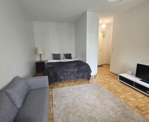Savonlinna Apartamento | Studio at Tottinkatu