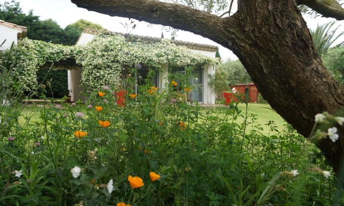 Beauvoisin Cama Y Desayuno | Studio au coeur de la petite camargue