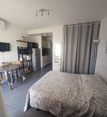 Balaruc-les-Bains Apartamento | Studio avec jardinet et balcon idéalement situé