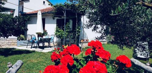 Porec Apartamento | Studio Benassi
