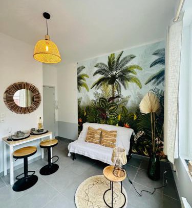 Centre Ville Apartamento | Studio Bohème hypercentre