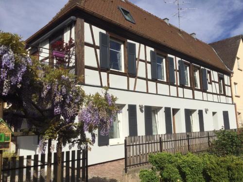 Ingersheim Apartamento | Studio côté jardin