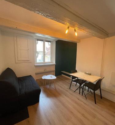 Besancon Old Town Apartamento | Studio centre ville